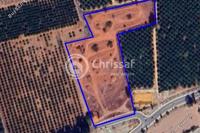 18459 SQM Land in Zakaki (Limassol) for sale 