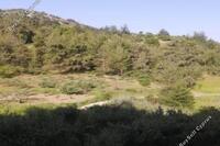 8148 SQM Land · Panagia (Paphos) for sale 