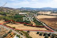 9384 SQM Land · Argaka (Paphos) for sale 
