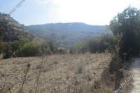 2676 SQM Land in Kallepeia (Paphos) for sale 