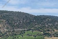 29265 SQM Land in Kannaviou (Paphos) for sale 