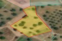2342 SQM Plot in Shia (Nicosia) for sale 