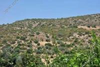 21405 SQM Land in Agios Theodoros Larnacas (Larnaca) for sale 
