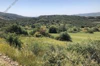 18395 SQM Land in Ora (Larnaca) for sale 