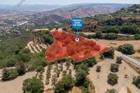 6021 SQM Land in Kato Akourdalia (Paphos) for sale 