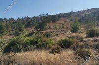 26088 SQM Land · Kapedes (Nicosia) for sale 