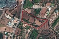 10374 SQM Land in Nea Dimmata (Paphos) for sale 