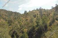 11037 SQM Land in Kalo Chorio Lemesou (Limassol) for sale 