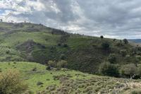 5017 SQM Land in Kelokedara (Paphos) for sale 