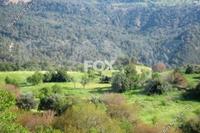 5352 SQM Land · Paphos Municipality (Paphos) for sale 