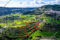 16545 SQM Plot in Dora (Limassol) for sale 