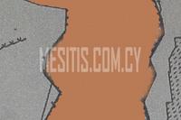 1199 SQM Plot · Aglantzia (Nicosia) for sale 