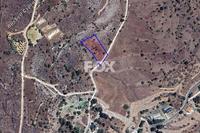 1673 SQM Land in Pentalia (Paphos) for sale 