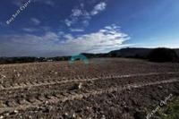 4683 SQM Land · Agios Theodoros Larnacas (Larnaca) for sale 