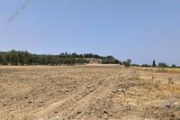 4000 SQM Land · Prodromi (Paphos) for sale 