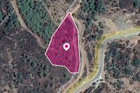 8450 SQM Land in Lysos (Paphos) for sale 