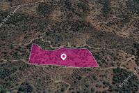 19399 SQM Land in Agios Theodoros Soleas (Nicosia) for sale 