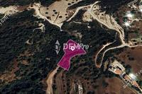 3011 SQM Land in Neo Chorio (Paphos) for sale 