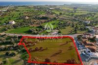 9031 SQM Land in Mazotos (Larnaca) for sale 