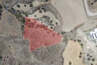 4237 SQM Land in Agrokipia (Nicosia) for sale 