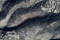 12041 SQM Land in Koili (Paphos) for sale 