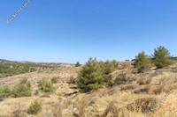 9031 SQM Land · Kampia (Nicosia) for sale 