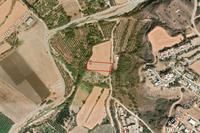 2676 SQM Land · Kouklia Pafou (Paphos) for sale 