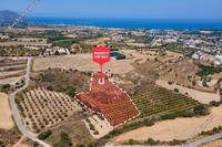 8696 SQM Land · Prodromi (Paphos) for sale 