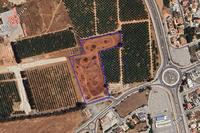 18459 SQM Land in Zakaki (Limassol) for sale 