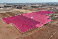 40541 SQM Land · Avgorou (Famagusta) for sale 
