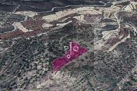 8696 SQM Land in Agios Therapon (Limassol) for sale 