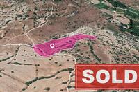 14047 SQM Land · Episkopi Pafou (Paphos) for sale 