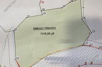 7315 SQM Plot in Paramytha (Limassol) for sale 