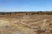 3952 SQM Plot · Athienou (Larnaca) for sale 