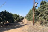 5000 SQM Land in Akrotiri (Limassol) for sale 