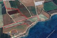 41785 SQM Land in Mandria Pafou (Paphos) for sale 