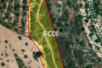 5686 SQM Land in Koili (Paphos) for sale 