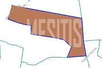 10349 SQM Land in Psimolofou (Nicosia) for sale 
