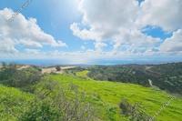 4014 SQM Land in Koili (Paphos) for sale 