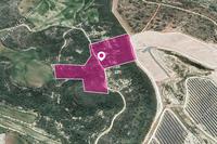 32108 SQM Land in Agios Theodoros Larnacas (Larnaca) for sale 