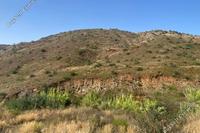 10368 SQM Land in Ora (Larnaca) for sale 