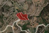 11706 SQM Land in Kampi (Nicosia) for sale 