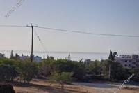 1126 SQM Land in Parekklisia (Limassol) for sale 