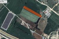 4683 SQM Land in Konia (Paphos) for sale 