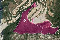 32657 SQM Land in Theletra (Paphos) for sale 