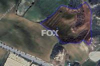 17392 SQM Land in Steni (Paphos) for sale 