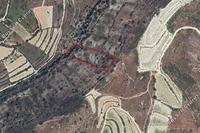 8696 SQM Land in Praitori (Paphos) for sale 