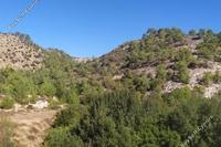 9905 SQM Land in Pachna (Limassol) for sale 