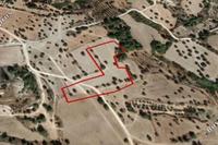 10703 SQM Plot · Anglisides (Larnaca) for sale 