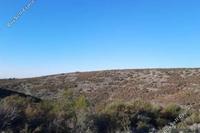 33780 SQM Land · Ora (Larnaca) for sale 